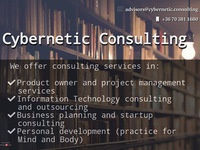 Cybernetic Consulting