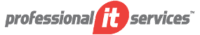 Professional IT Services