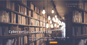 Cybernetic Consulting