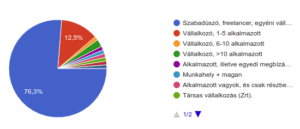 webfejlesztő vállalkozási forma statisztika