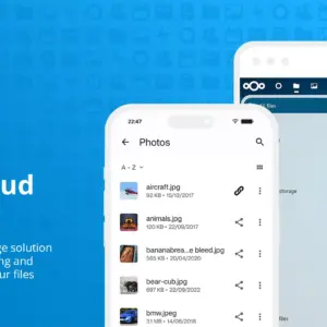 Startup webes iroda és csoportmunka