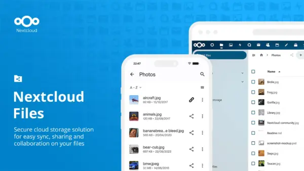 Startup webes iroda és csoportmunka